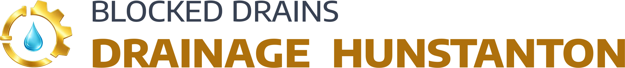 website logo